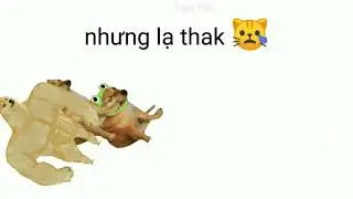 bọn trẻ ném đá vào lũ ếch như ở 1 diễn biến khác=))