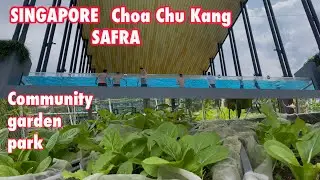 SINGAPORE CHOA CHU KANG COMMUNITY GARDEN LOOK WITH A TWIST AND SAFRA SPORT HUB LOOK  | 4k