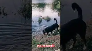 28 июня 2023 г. Первый раз решил искупаться !!!