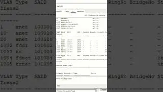 VLAN Configuration in Packet Tracer | Nertworking Academy | 