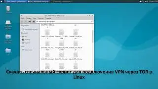 Как настроить анонимный VPN через TOR в Linux используя OpenVPN