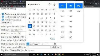 How to Add and Show Date and time input field in Form | HTML5 datetime local |form date schedule.