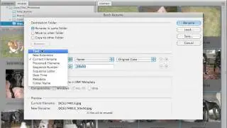 Adobe Bridge CS4 Overview