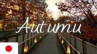 Autumn leaves in Japan walk /Japan Autumn tour Japan Niigata