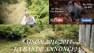 Chasse au Sanglier en Battue dans les Vosges Bande Annonce Saison 2016/2017  Blaser R8