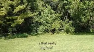 possible bigfoot sighting in Michigan