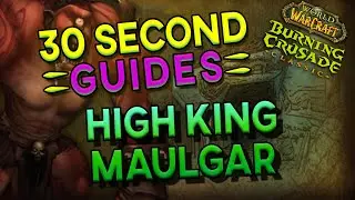 High King Maulgar - 30 Second Guides - Gruul's Lair