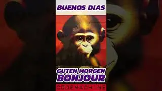 Good Morning Monkey