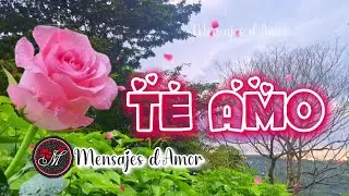 Frases de amor bonitas y especiales para dedicar y enamorar ❤️MENSAJES DE AMOR con música romántica