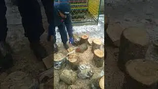 Самодельный колун для дров