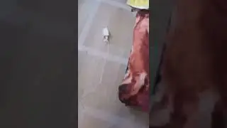 умная зарядка ваши зарядки так умеют