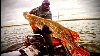 Щука на 7кг р.Волга  21.10,2022 . Глубоководный Твичинг. Воблер Deps Balisong Minnow Longbill 130 SF
