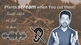Shocking!! Plants feel pain. They scream we can't hear it. Hearing capacity of humans. By Dr Skanda