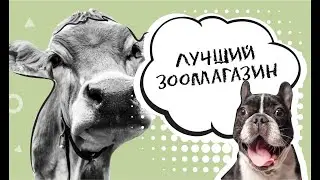 Лучший зоомагазин . Ветаптека . Краснодарзооветснаб - КЗВС
