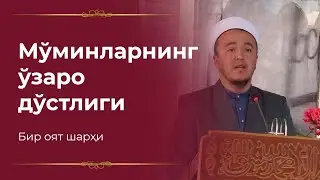Мўминларнинг ўзаро дўстлиги