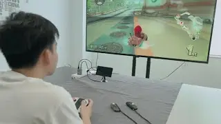 Multi-purpose wall charger convenient charges your SWITCH！