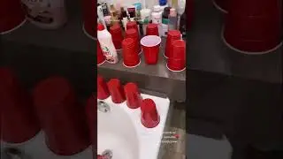 вписка удалась 