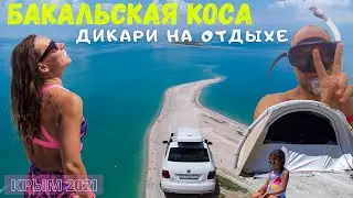 Bakalskaya Spit 🏝 an island home to millions of birds, beautiful drone footage, spending the nigh...