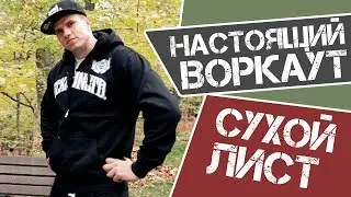 Элемент 12 .Сухой лист