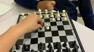 5 нүүдлийн мад
