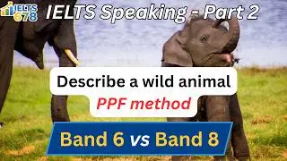 Describe a Wild Animal | IELTS Speaking Part 2 | Band 6 → Band 8