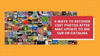 Lost Photos After Mac Update to Big Sur or Catalina? 4 Fixes