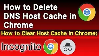 How to Clear DNS Host Cache in Chrome | Chrome Mein DNS Host Cache Ko Kaise Delete Kare