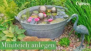 Kleiner Teich, große Wirkung: So gestaltest du deinen eigenen Miniteich für den Außenbereich