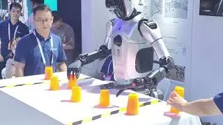 Open-Source Humanoid Robot "Qinglong"