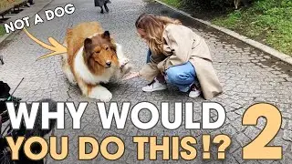 Why Would You Do This!? 2