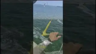 Kitesurfing in Long Beach Belmont Shore California 