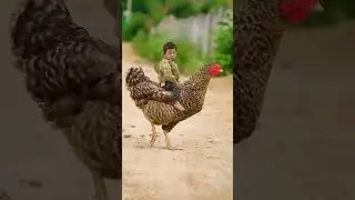 🤣😂😃 ПОООЕХАЛИИИИ..