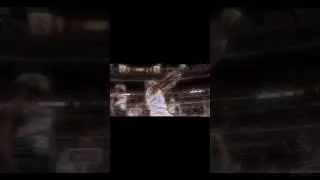 Dennis Rodman | Pardison Fontaine - Rodman