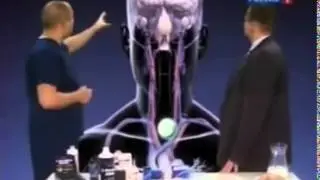 L карнитин