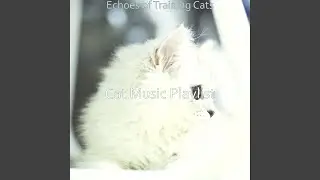 Happy Music for Kittens