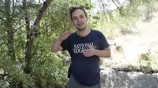 Erzincan/Kemaliye'de Foto Kapanla Tilki Görüntülendi