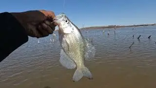 Another slow day crappie fishing El dorado Ks