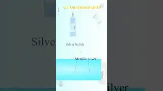 AUTORADIOGRAPHY