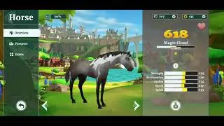 Daily horse Breeding in Wildshade