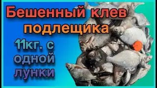 Сколько же его там!!!?.Подлещик на мормышку.