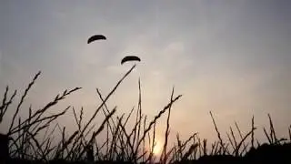 Dancing Kites