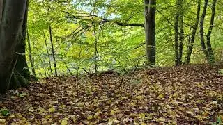 «КОЛДОВСКОЕ ОЗЕРО»