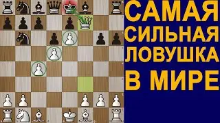 СДЕЛАЙ ЭТО И ПОБЕДИ 95% ИГРОКОВ В ШАХМАТАХ. Шахматы Ловушки. Шахматы Обучение. Шахматы Уроки.Шахматы