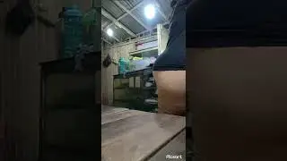 Menyalaaaaa TANTEKUU 🍑🔥🍑