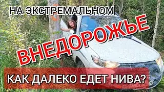 Проходимость Новой Нивы Тревел | Niva Travel на ВНЕДОРОЖЬЕ - ВУОКСА ТРОФИ