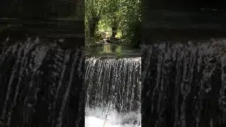 Niye böyle dargın dargın bakarsın