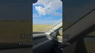 сенокос 2024