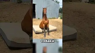 Why