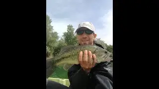 Black Bass la Delegyhaza