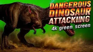 Dangerous T-Rex Dinosaur Attacking  4K | Ultra Realistic Green Screen Footage with Blood & Battle